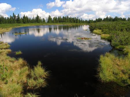 sl. 080 Ribniško jezero SJ